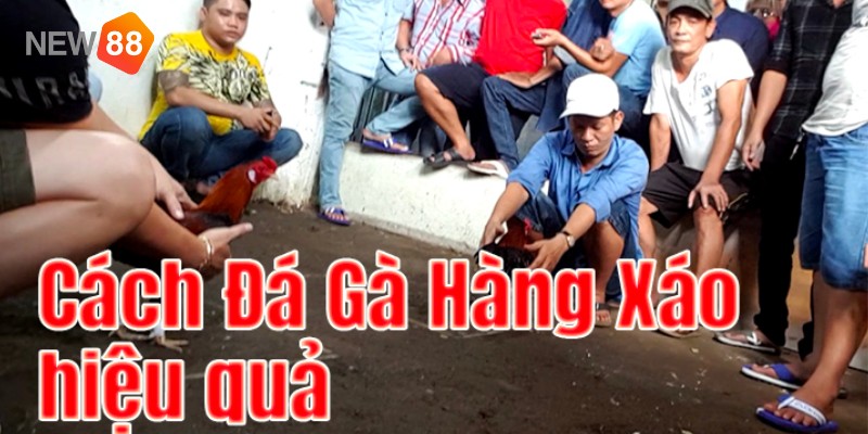 Nghệ thuật đá gà hàng xáo lâu năm Nghệ thuật đá gà hàng xáo lâu năm