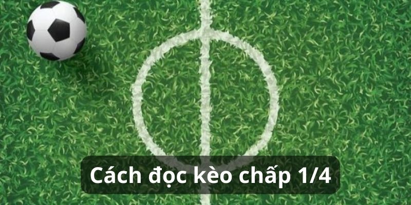 Cách đọc soi kèo 1/4